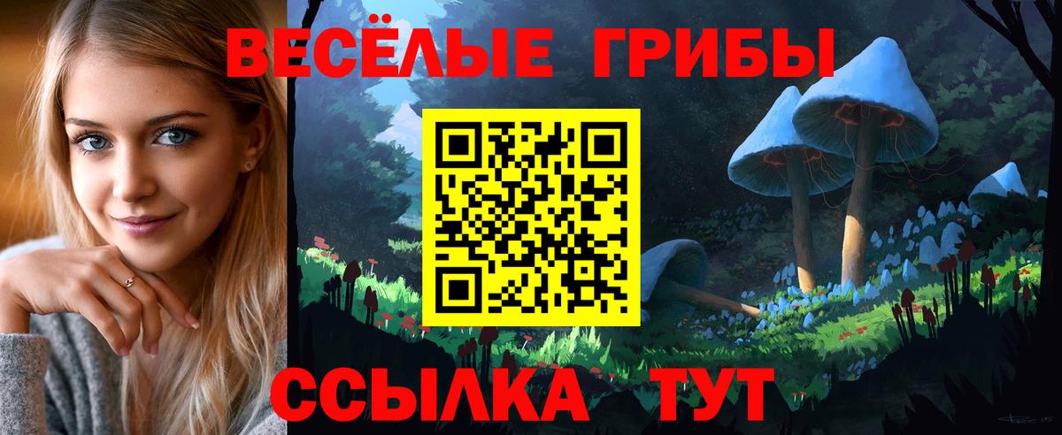Галлюциногенные грибы GOLDEN TEACHER Энгельс